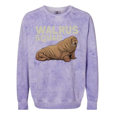 Cool Walrus Art For Ocean Animal Walrus Lover Colorblast Crewneck Sweatshirt