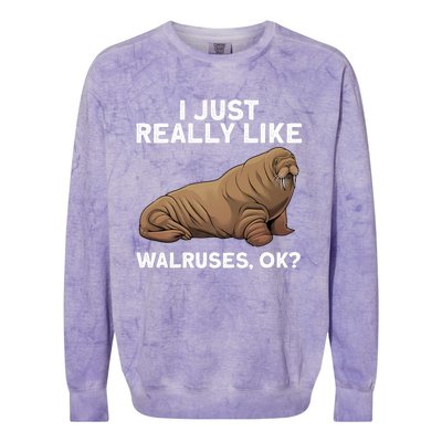 Cool Walrus Art For Pinniped Animal Walrus Lover Colorblast Crewneck Sweatshirt