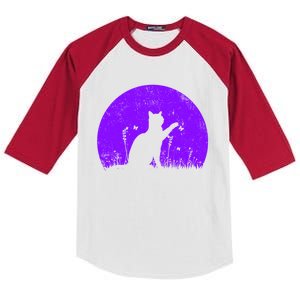 Cat With Butterfly Purple Sunset Gift Kids Colorblock Raglan Jersey