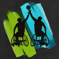 Cool Wheelchair Basketball Game Adult Drive Performance Visor