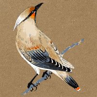 Cedar Waxwing Bird Ornithology Beautiful Songbird Cotton Canvas Backpack