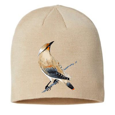 Cedar Waxwing Bird Ornithology Beautiful Songbird Sustainable Beanie