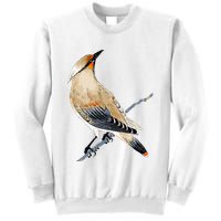 Cedar Waxwing Bird Ornithology Beautiful Songbird Sweatshirt