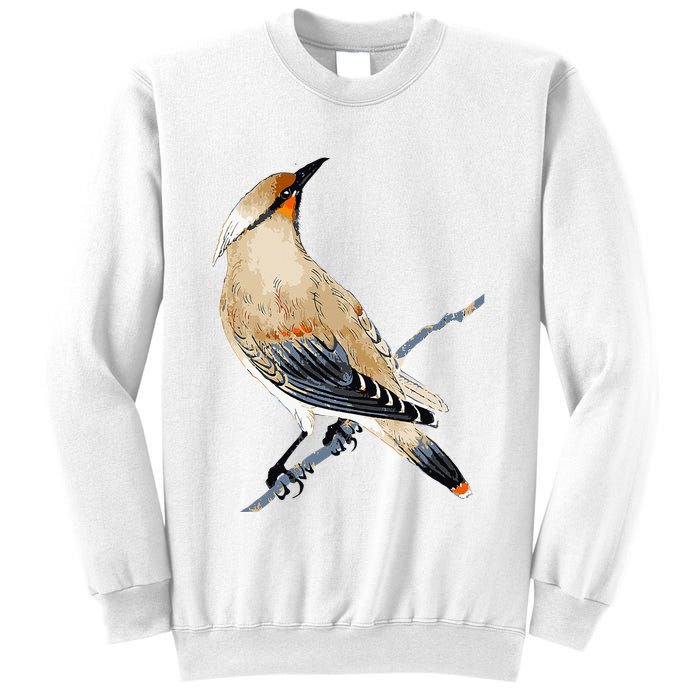 Cedar Waxwing Bird Ornithology Beautiful Songbird Sweatshirt