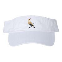 Cedar Waxwing Bird Ornithology Beautiful Songbird Visor