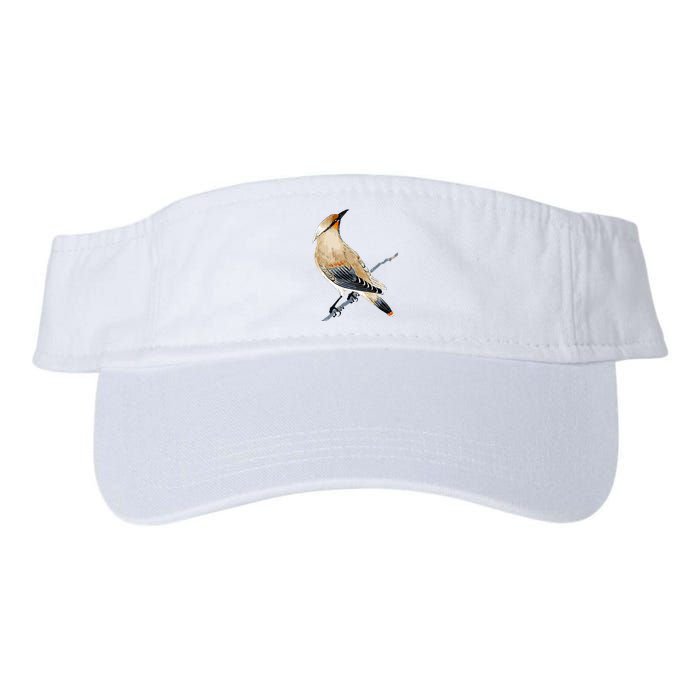 Cedar Waxwing Bird Ornithology Beautiful Songbird Visor