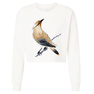 Cedar Waxwing Bird Ornithology Beautiful Songbird Cropped Pullover Crew