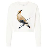 Cedar Waxwing Bird Ornithology Beautiful Songbird Cropped Pullover Crew