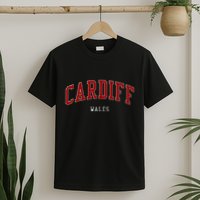 Cardiff Wales College University Style T-Shirt