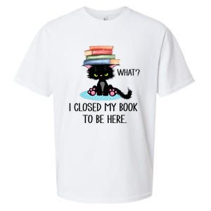 Cat What Cat Books I Closed My Book To Be Here Sueded Cloud Jersey T-Shirt