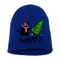 Cat What Christmas Murderous Black Cat Pushing Tree Xmas Gift Short Acrylic Beanie