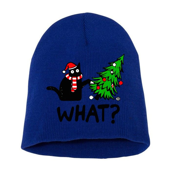 Cat What Christmas Murderous Black Cat Pushing Tree Xmas Gift Short Acrylic Beanie