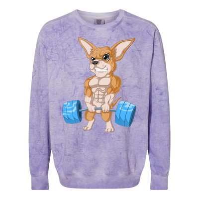 Chihuahua Weightlifting Colorblast Crewneck Sweatshirt