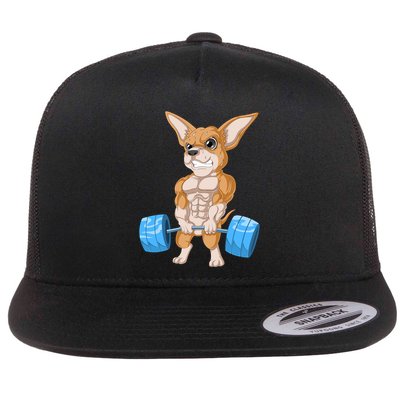 Chihuahua Weightlifting Flatbill Hat
