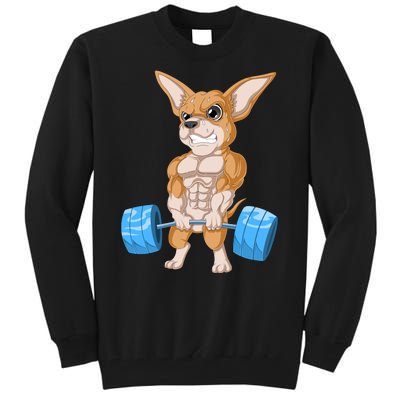 Chihuahua Weightlifting Tall Sweatshirt