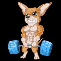 Chihuahua Weightlifting Toddler Hoodie