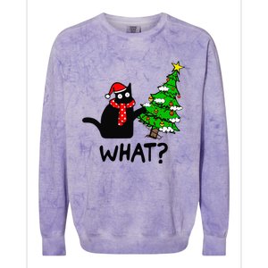 Cat What Christmas Tree Xmas Light Santa Hat Funny Black Cat Colorblast Crewneck Sweatshirt