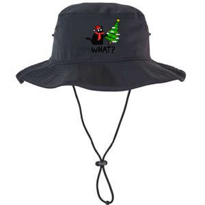 Cat What Christmas Tree Xmas Light Santa Hat Funny Black Cat Legacy Cool Fit Booney Bucket Hat