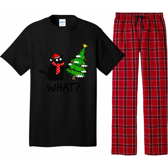 Cat What Christmas Tree Xmas Light Santa Hat Funny Black Cat Pajama Set