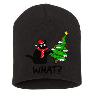 Cat What Christmas Tree Xmas Light Santa Hat Funny Black Cat Short Acrylic Beanie