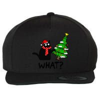 Cat What Christmas Tree Xmas Light Santa Hat Funny Black Cat Wool Snapback Cap