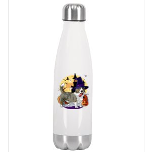 Cardigan Welsh Corgi Cute Dog Halloween Witch Pumpkin Cute Gift Stainless Steel Insulated Water Bottle