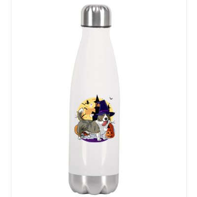 Cardigan Welsh Corgi Cute Dog Halloween Witch Pumpkin Cute Gift Stainless Steel Insulated Water Bottle