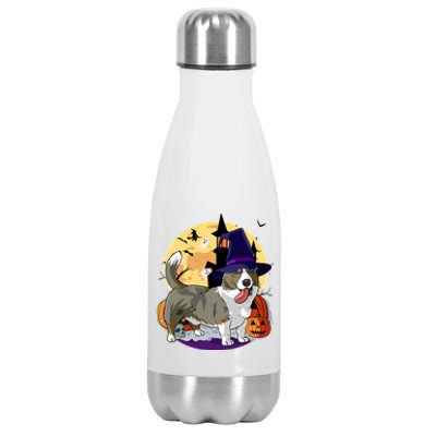 Cardigan Welsh Corgi Cute Dog Halloween Witch Pumpkin Cute Gift Stainless Steel Insulated Water Bottle