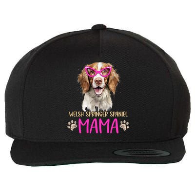 Cardigan Welsh Corgi Dog Mom Mothers Day Lover Dog Meaningful Gift Wool Snapback Cap