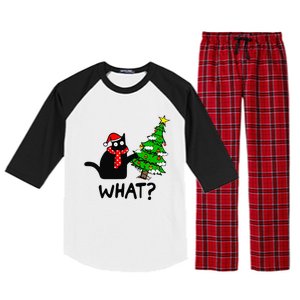 Cat What Christmas Tree Xmas Light Santa Hat Funny Black Cat Raglan Sleeve Pajama Set