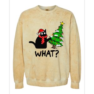 Cat What Christmas Tree Xmas Light Santa Hat Funny Black Cat Colorblast Crewneck Sweatshirt