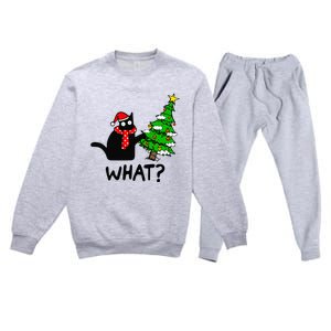 Cat What Christmas Tree Xmas Light Santa Hat Funny Black Cat Premium Crewneck Sweatsuit Set