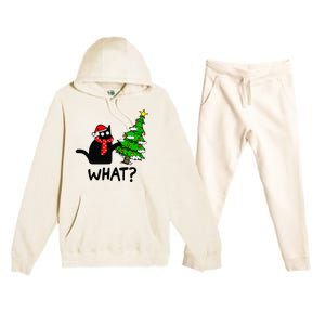 Cat What Christmas Tree Xmas Light Santa Hat Funny Black Cat Premium Hooded Sweatsuit Set