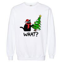 Cat What Christmas Tree Xmas Light Santa Hat Funny Black Cat Garment-Dyed Sweatshirt