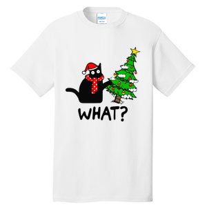 Cat What Christmas Tree Xmas Light Santa Hat Funny Black Cat Tall T-Shirt