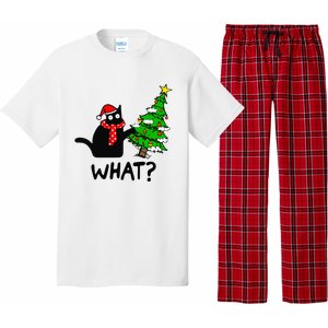 Cat What Christmas Tree Xmas Light Santa Hat Funny Black Cat Pajama Set