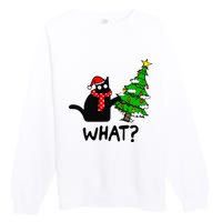 Cat What Christmas Tree Xmas Light Santa Hat Funny Black Cat Premium Crewneck Sweatshirt