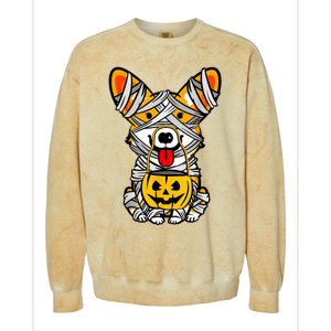 Cute Welsh Corgi Dog Mummy Pumpkin Halloween Spooky Season Gift Colorblast Crewneck Sweatshirt