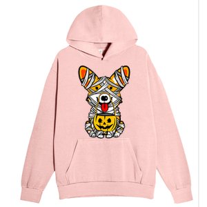 Cute Welsh Corgi Dog Mummy Pumpkin Halloween Spooky Season Gift Urban Pullover Hoodie