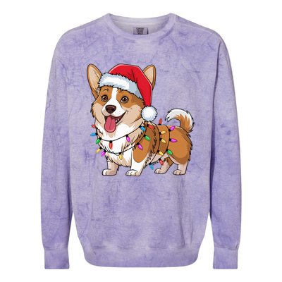 Cardigan Welsh Corgi Christmas Lights Xmas Dogs Gifts Colorblast Crewneck Sweatshirt