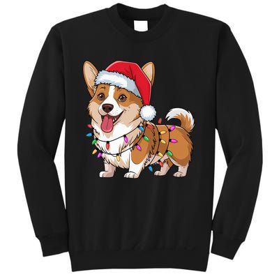 Cardigan Welsh Corgi Christmas Lights Xmas Dogs Gifts Sweatshirt