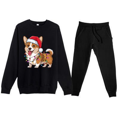 Cardigan Welsh Corgi Christmas Lights Xmas Dogs Gifts Premium Crewneck Sweatsuit Set