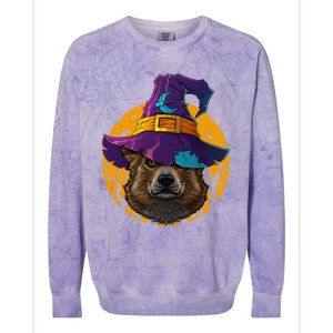 Corgi Witch Dog Funny Halloween Costume Creepy Moon Gift Colorblast Crewneck Sweatshirt