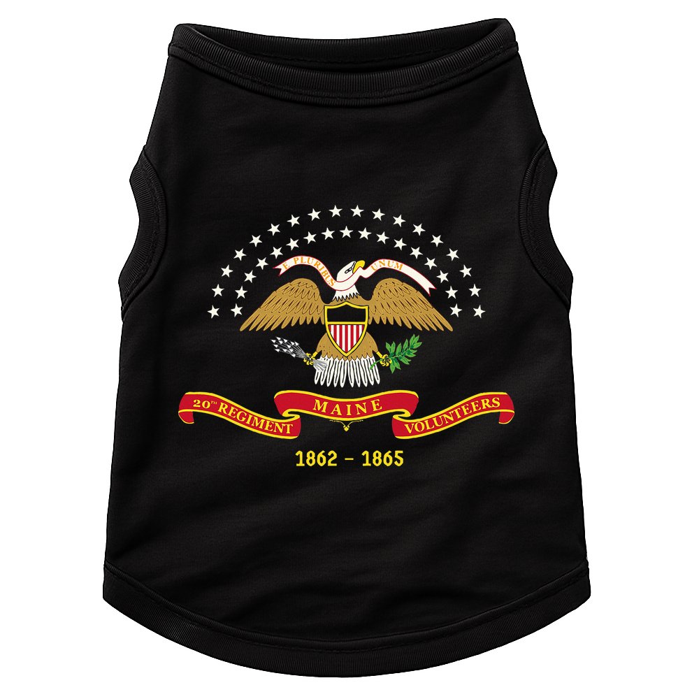 Civil War Era 20th Maine Volunteer Infantry Regiment Flag Doggie Tank