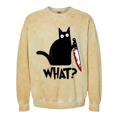 Cat What? Funny Black Cat Murderous Cat With Knife Colorblast Crewneck Sweatshirt