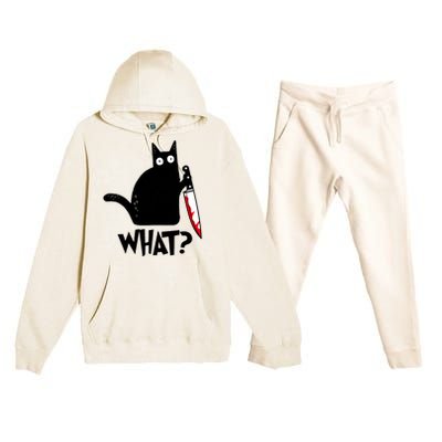 Cat What? Funny Black Cat Murderous Cat With Knife Premium Hooded Sweatsuit Set