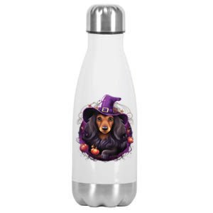 Cute Witch Funny Dachshund Halloween Costume Dog Lover Stainless Steel Insulated Water Bottle