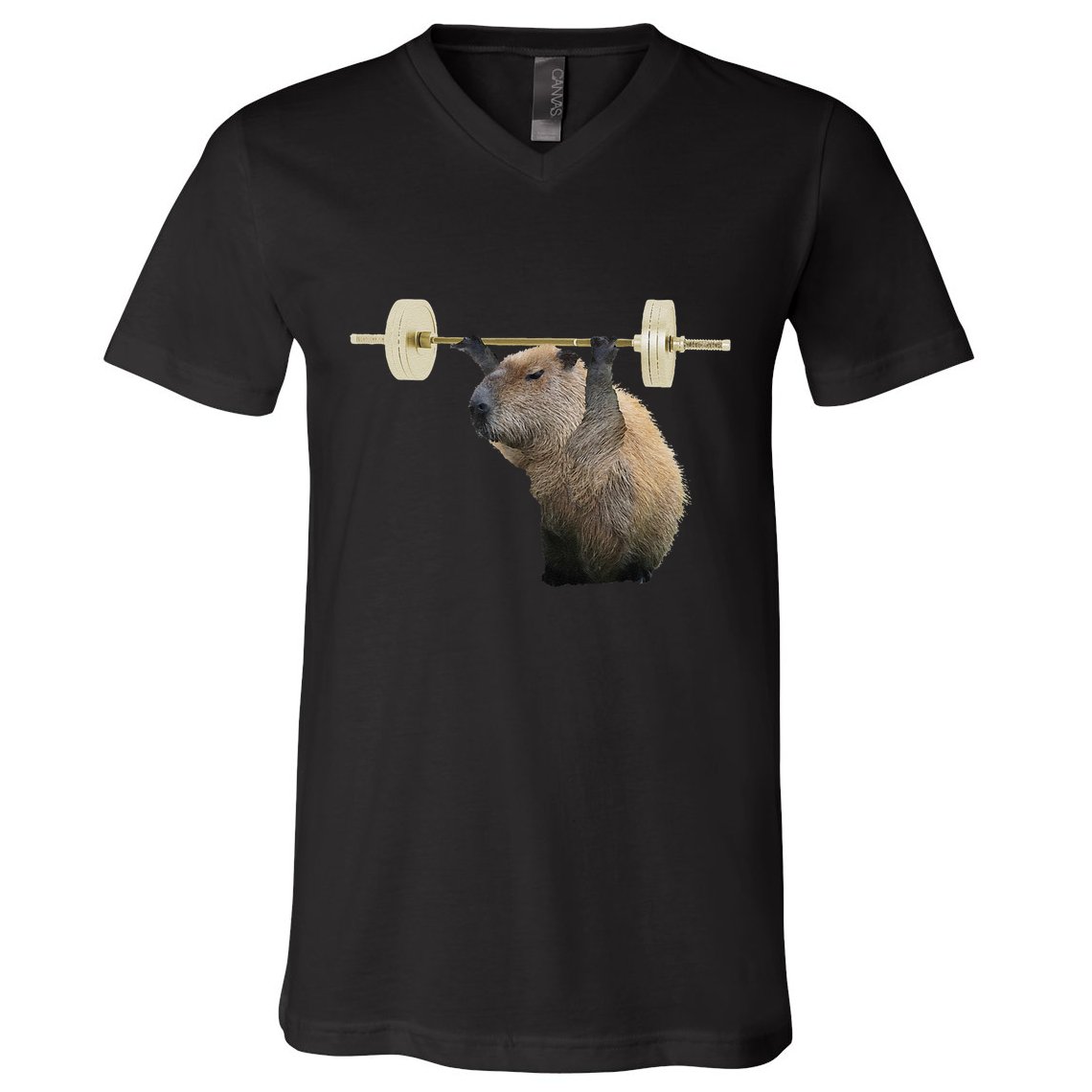 Capybara Weightlifting Funny Body Building Training V-Neck T-Shirt