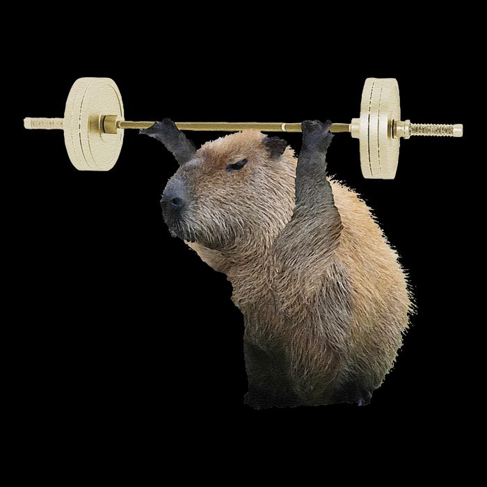 Capybara Weightlifting Funny Body Building Training Youth Performance Sprint T-Shirt