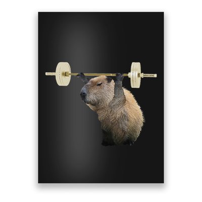 Capybara Weightlifting Funny Body Building Training Poster